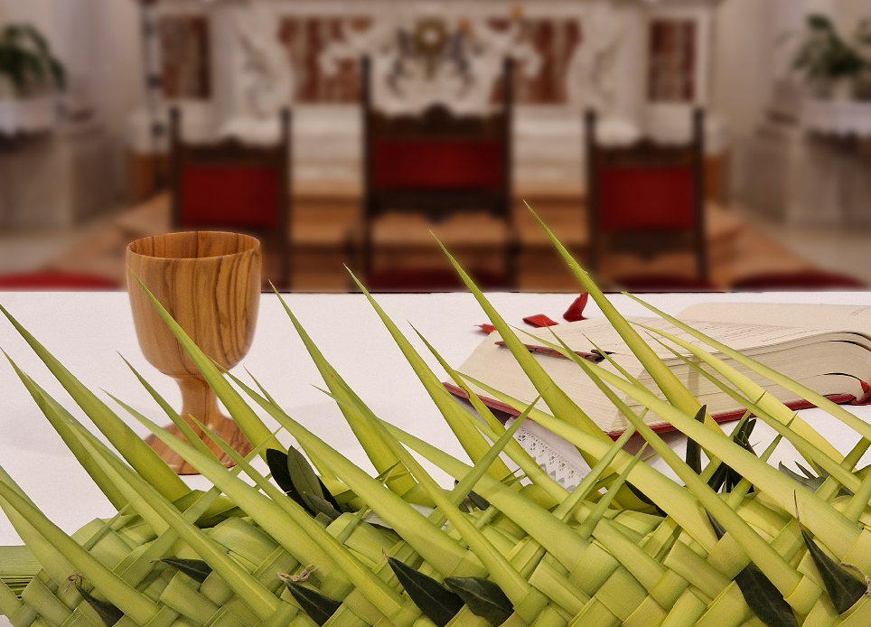 Le Palme, dalla gioia della folla al silenzio della croce