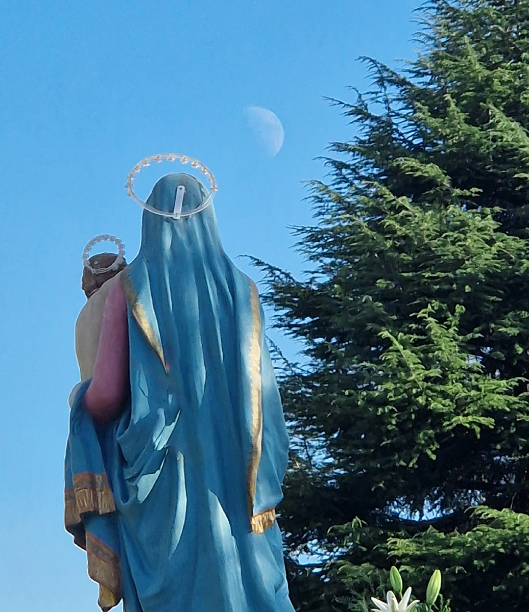 Orgnese in festa per il Nome di Maria