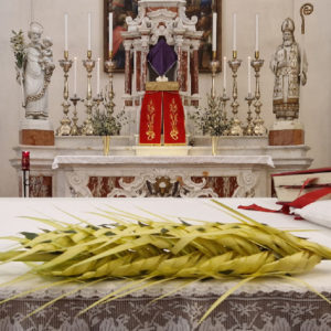 Una palma che intreccia tradizioni di Fede