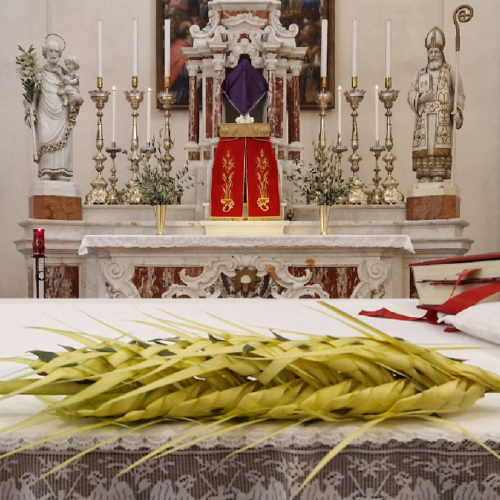 Una palma che intreccia tradizioni di Fede