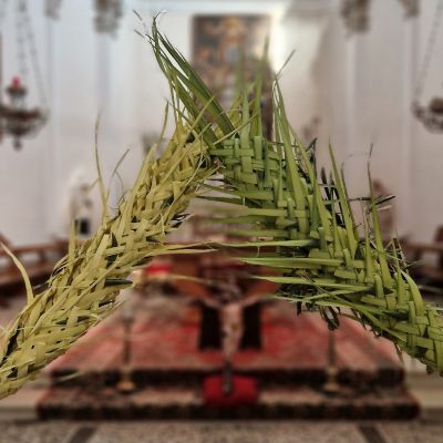 Gloria e Passione, le Palme aprono al silenzio